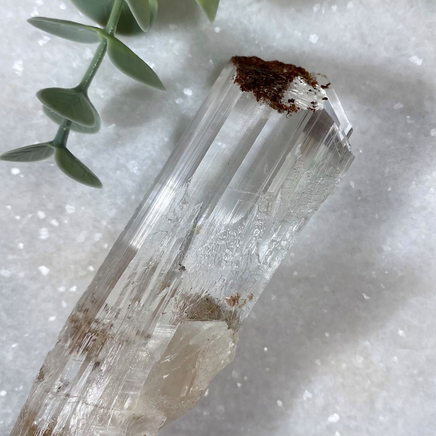 Long Selenite Gypsum Crystal Mineral Specimen