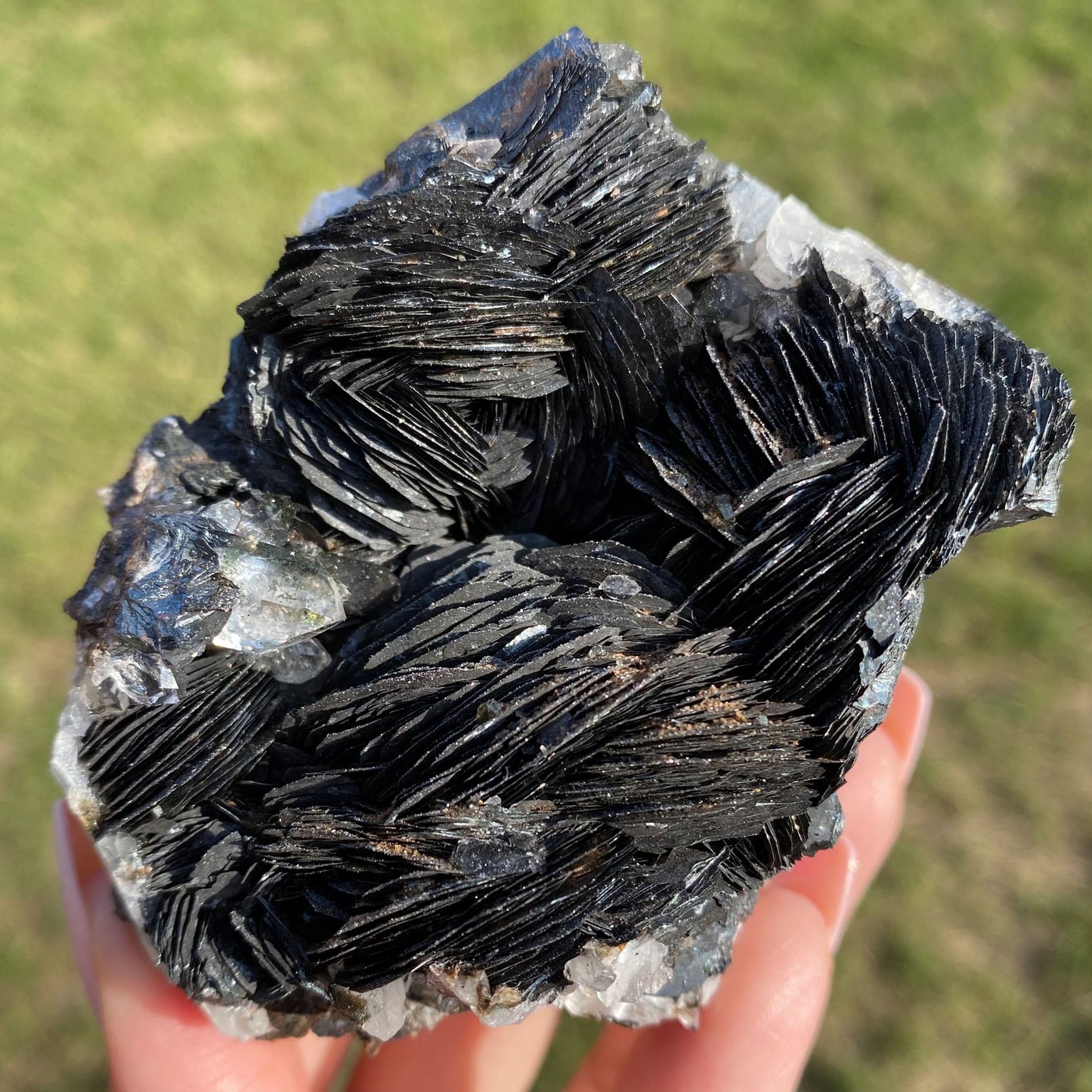 Specularite Rose Flower Formation Hematite Cluster