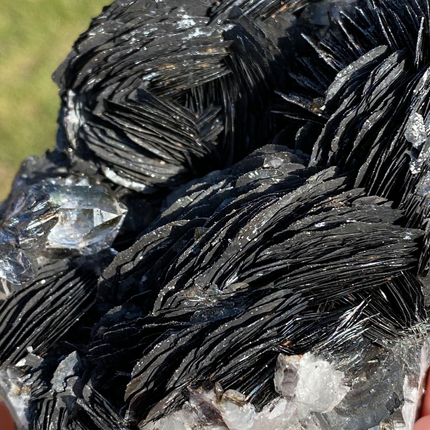 Specularite Rose Flower Formation Hematite Cluster
