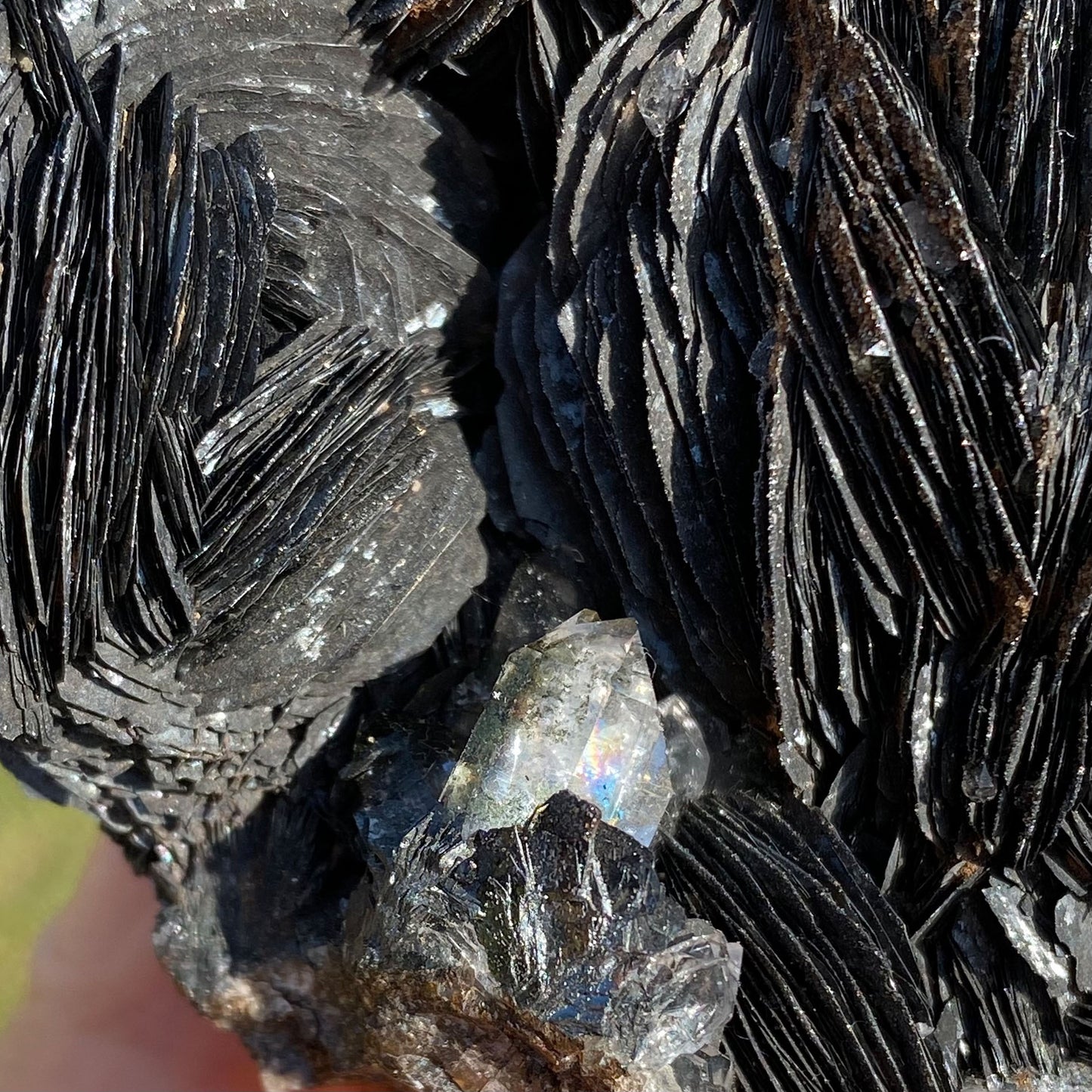Specularite Rose Flower Formation Hematite Cluster