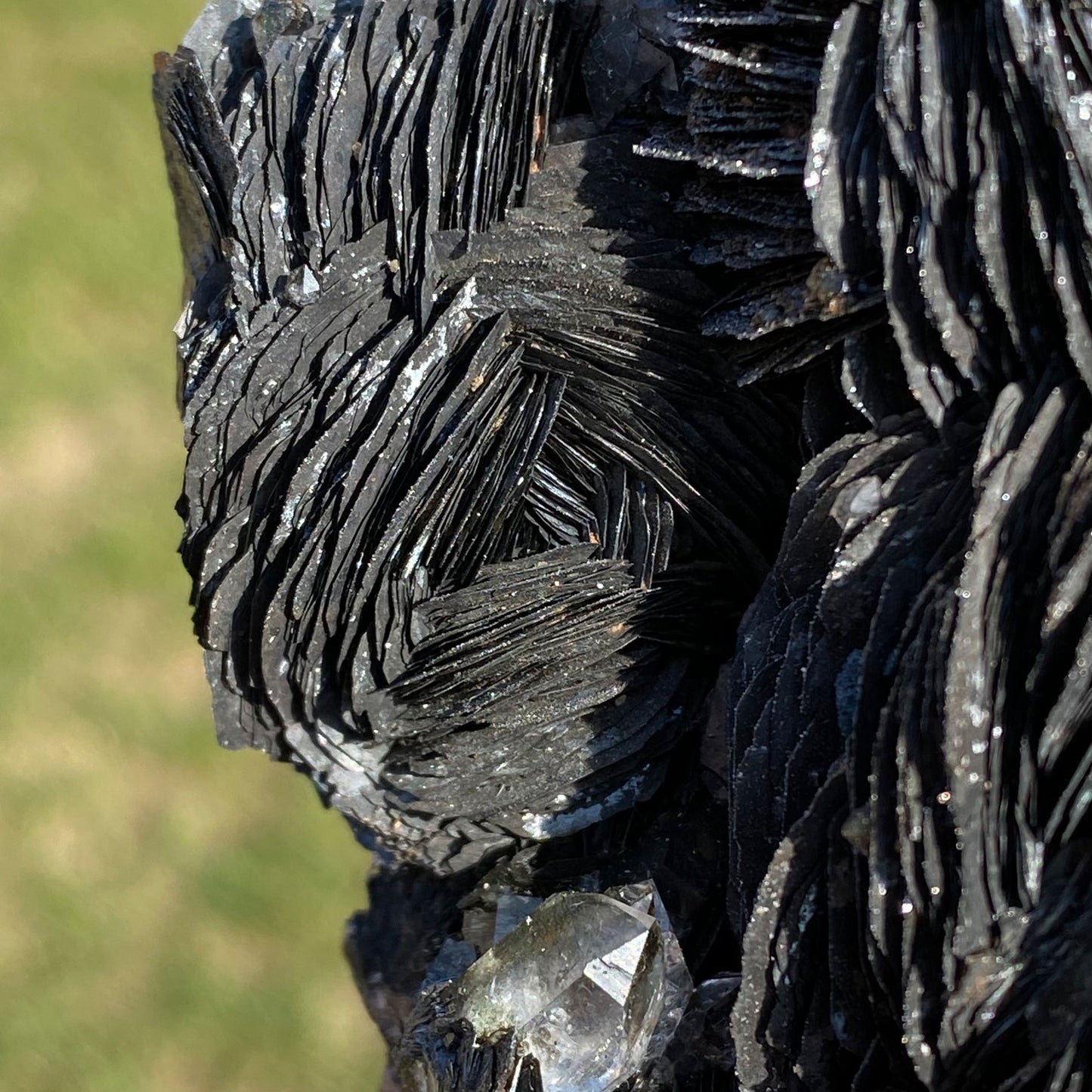 Specularite Rose Flower Formation Hematite Cluster