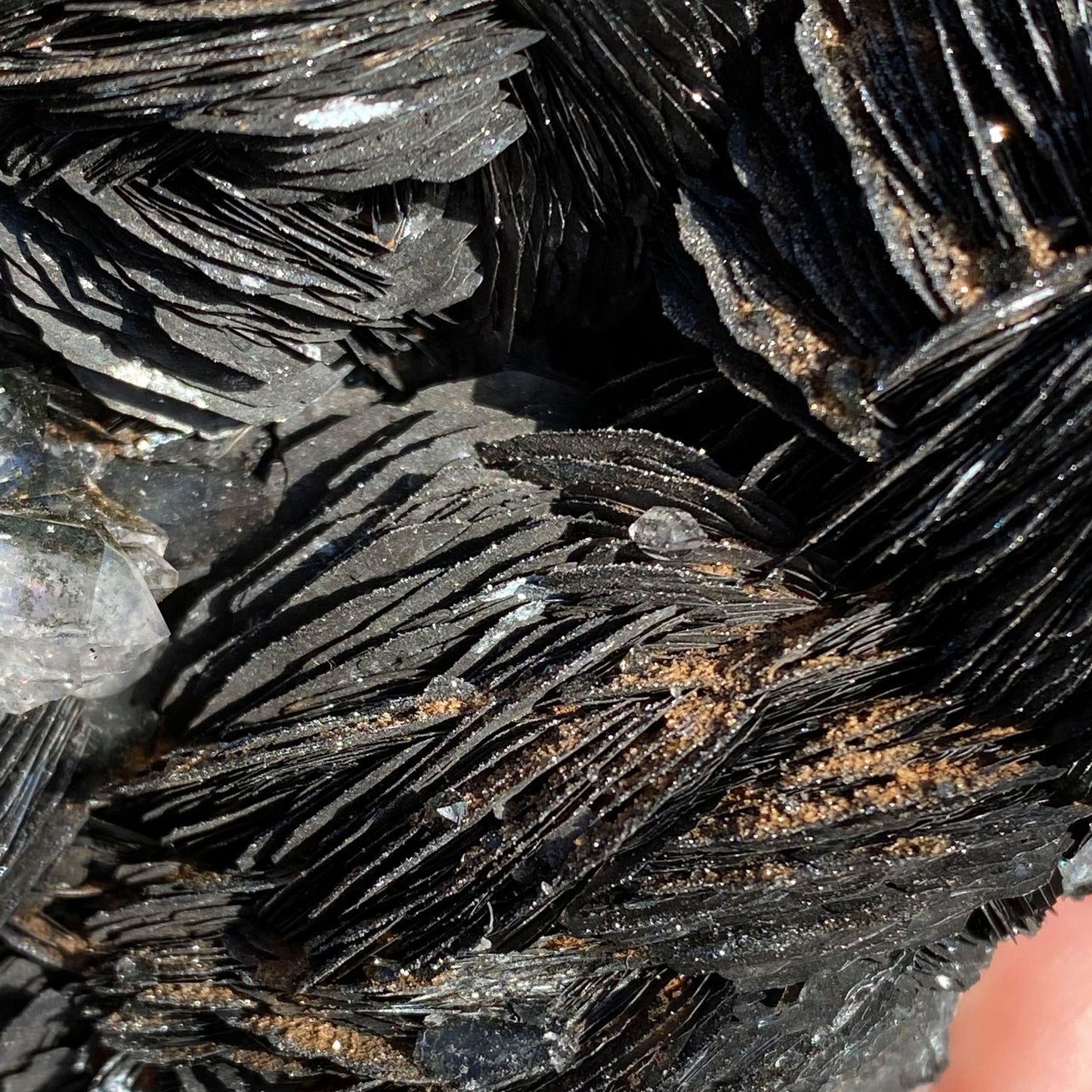 Specularite Rose Flower Formation Hematite Cluster