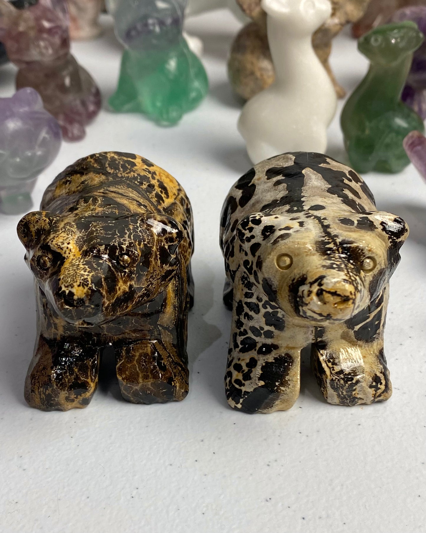 Picture Jasper Bear