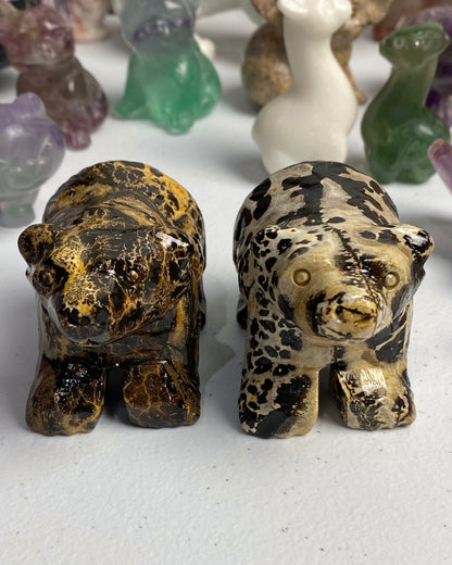 Picture Jasper Bear