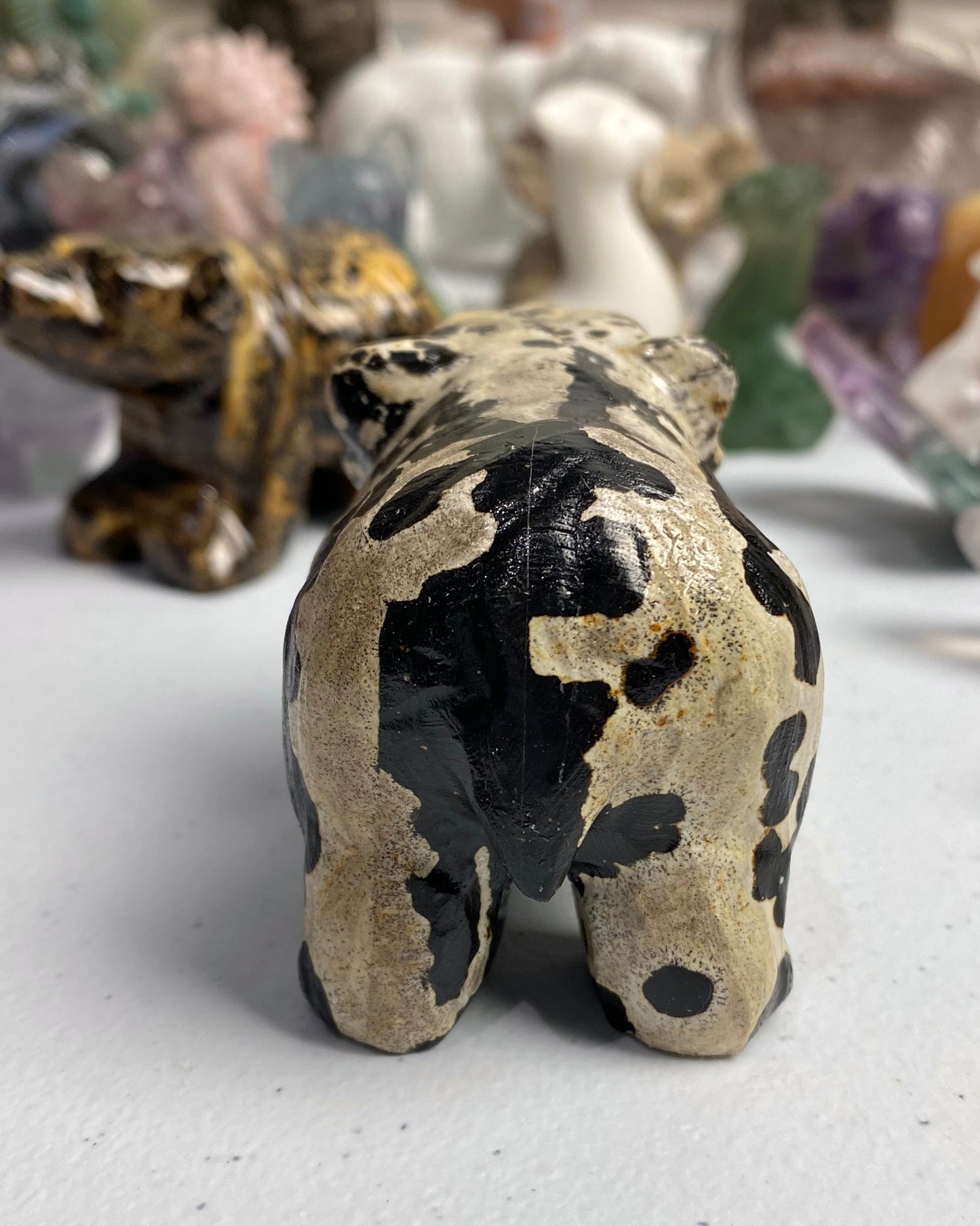 Picture Jasper Bear