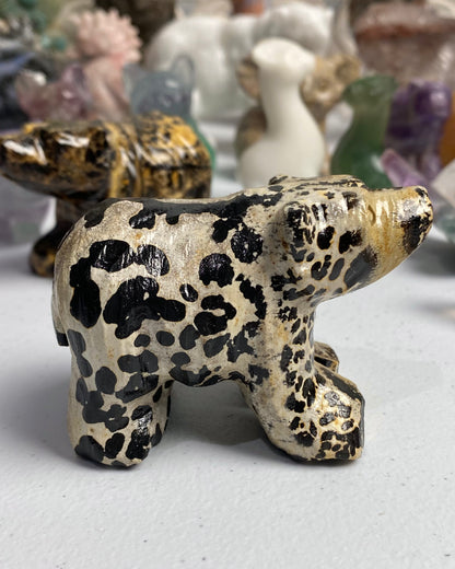 Picture Jasper Bear