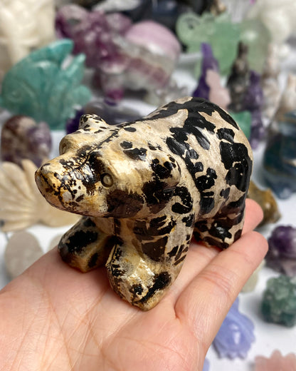 Picture Jasper Bear
