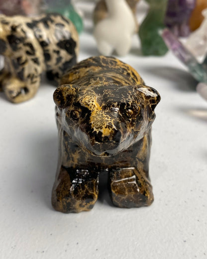Picture Jasper Bear