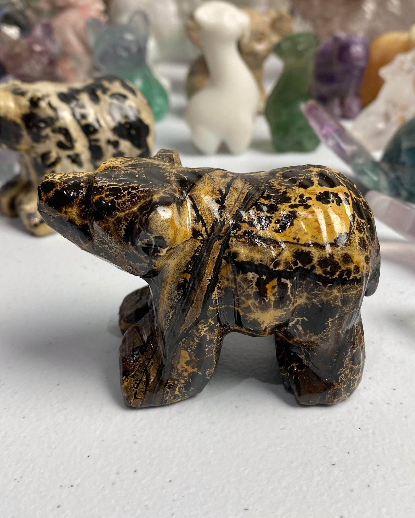 Picture Jasper Bear