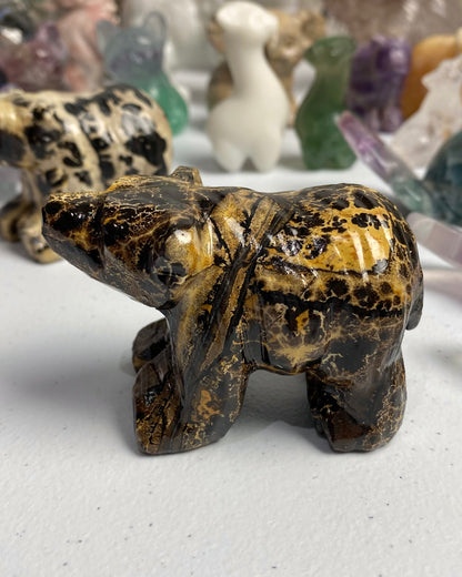 Picture Jasper Bear