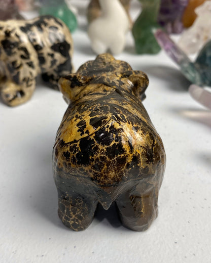 Picture Jasper Bear