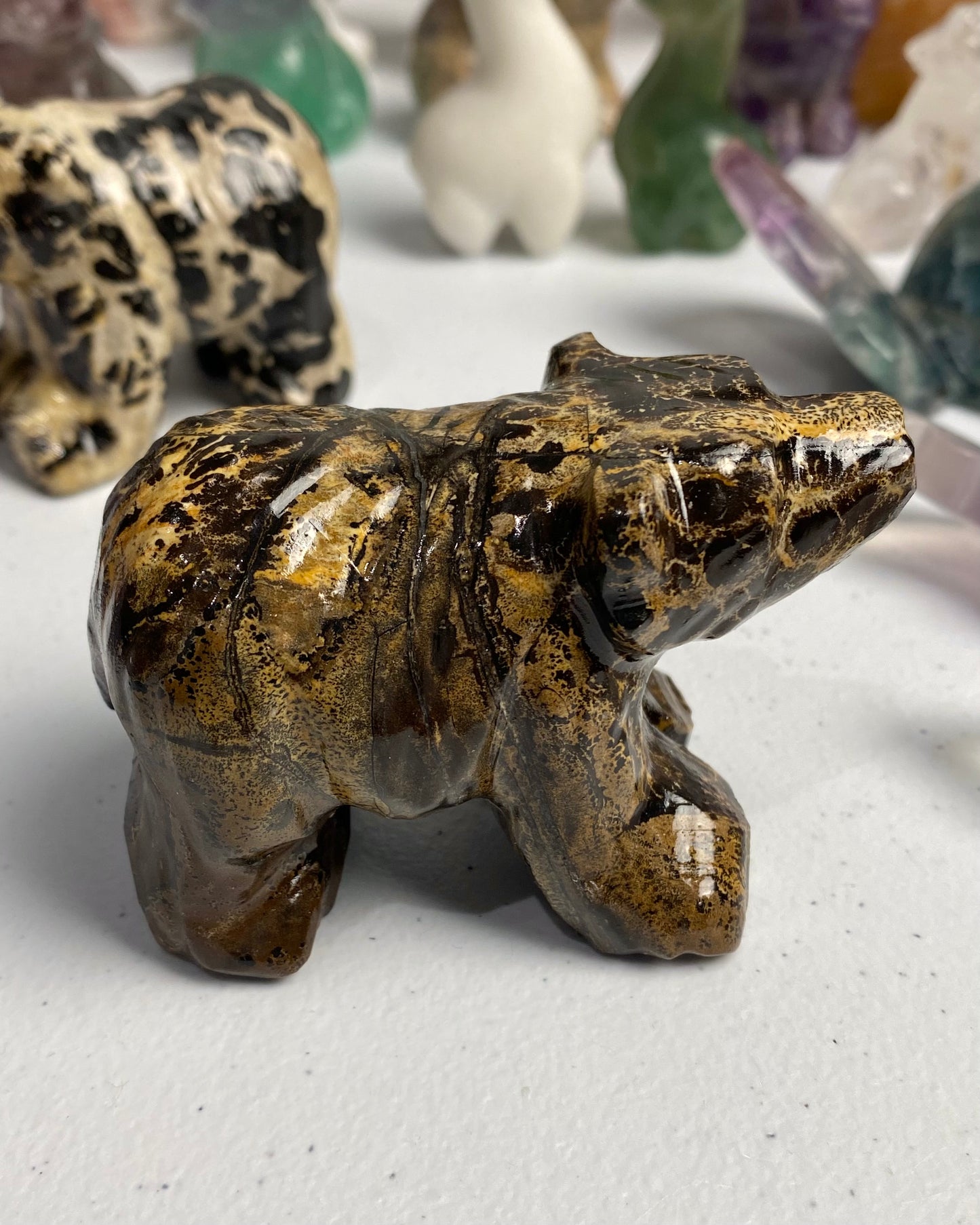 Picture Jasper Bear