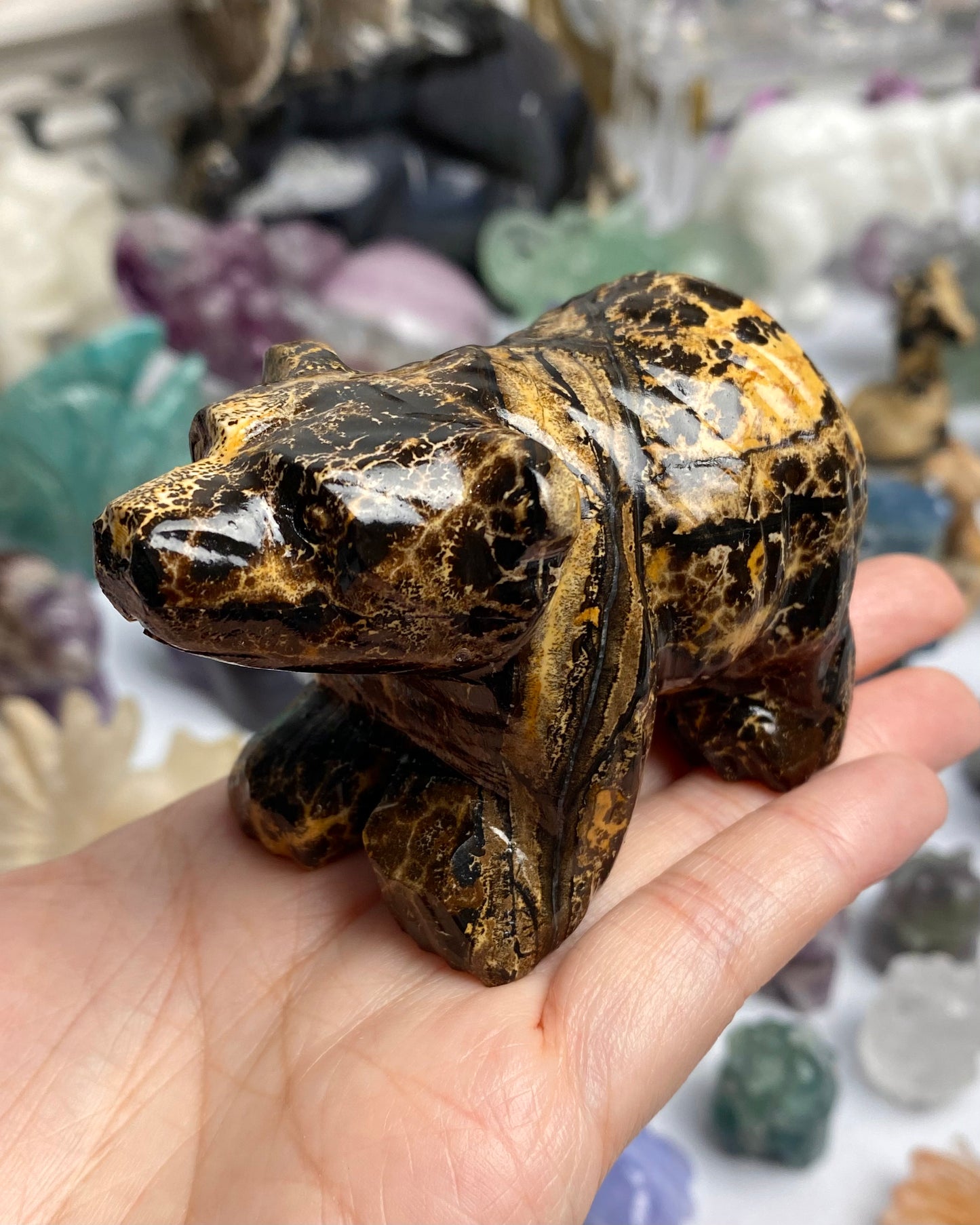 Picture Jasper Bear