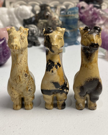 Picture Jasper Giraffe