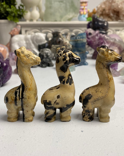Picture Jasper Giraffe