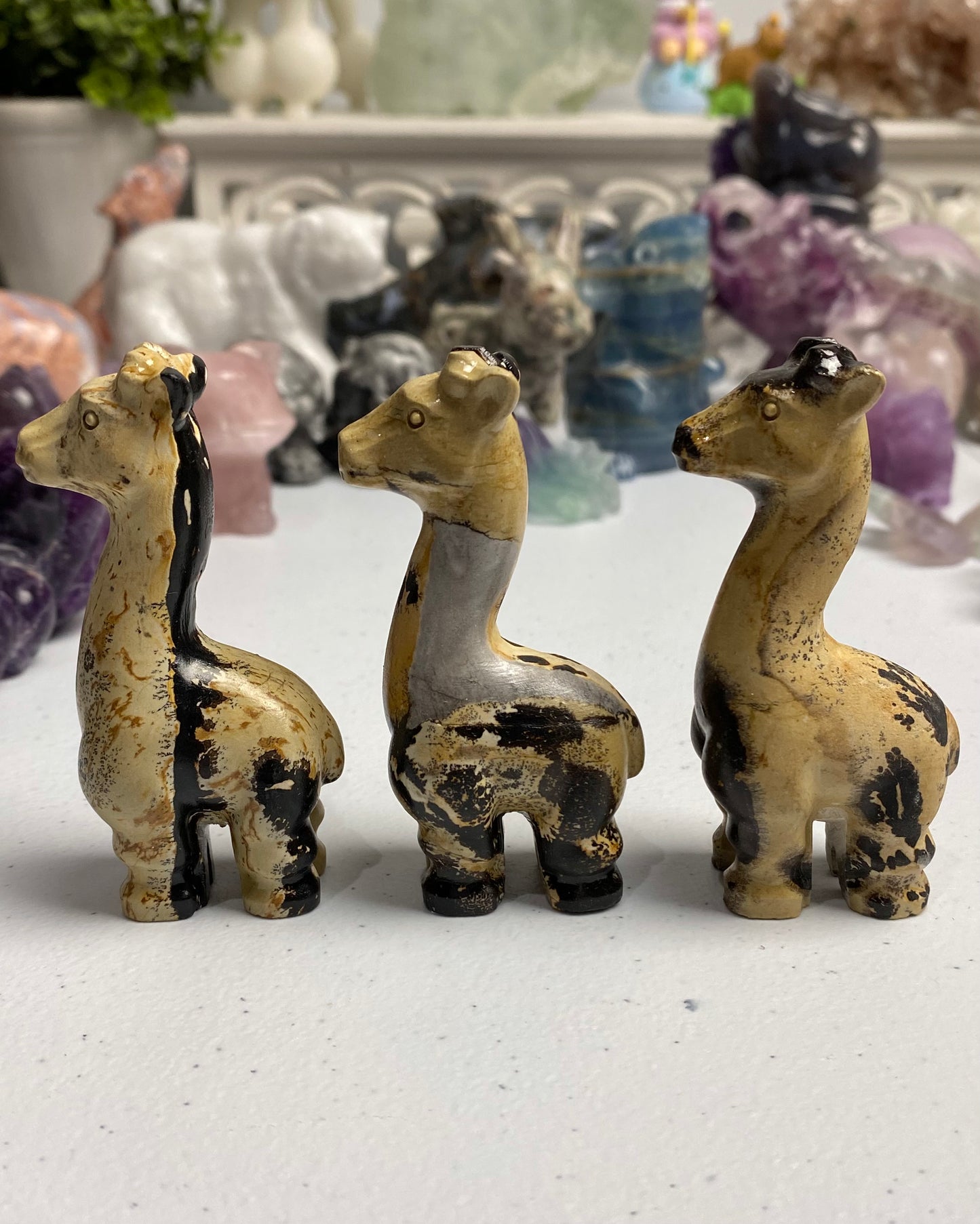 Picture Jasper Giraffe