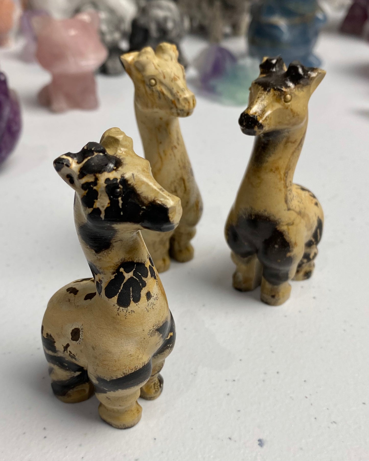 Picture Jasper Giraffe