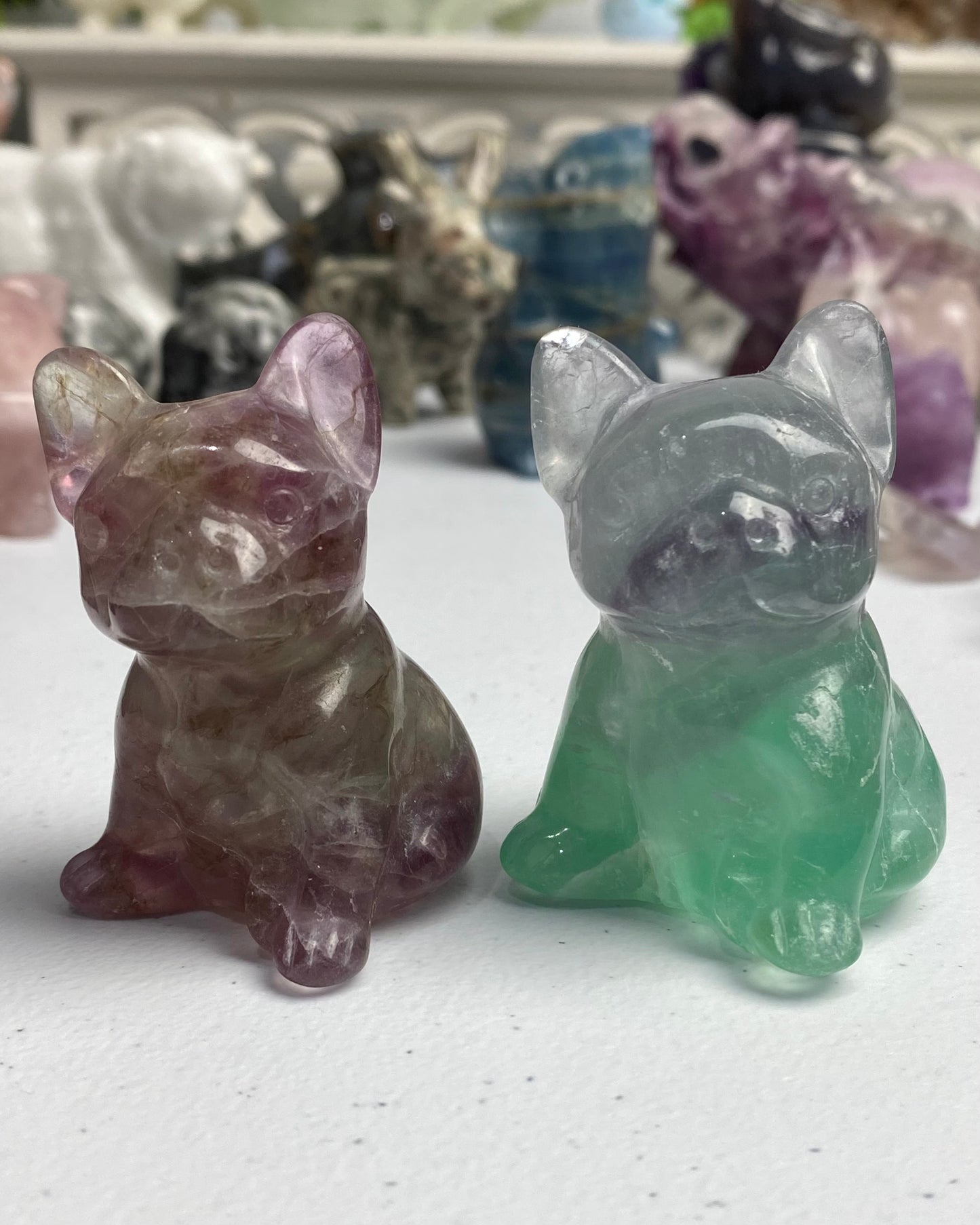 Fluorite Dog