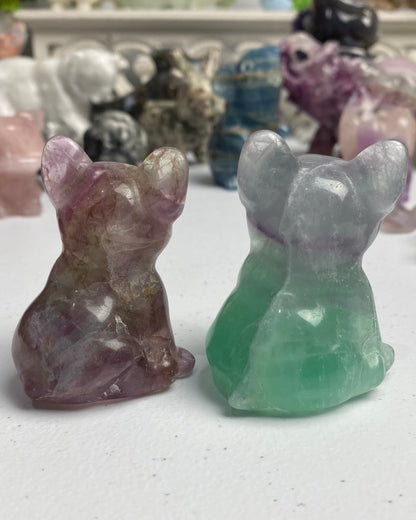Fluorite Dog