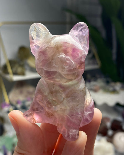 Fluorite Dog