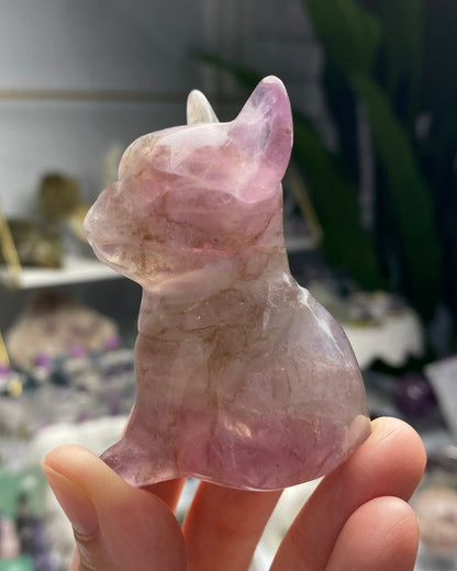 Fluorite Dog