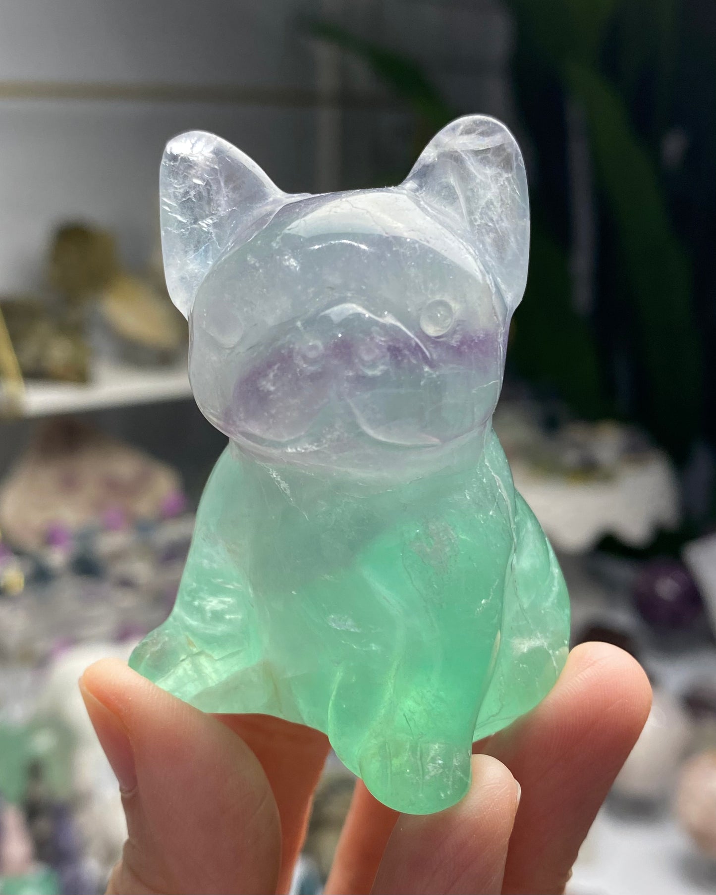 Fluorite Dog