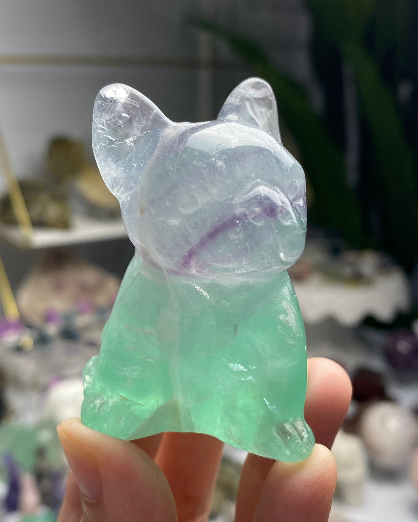 Fluorite Dog