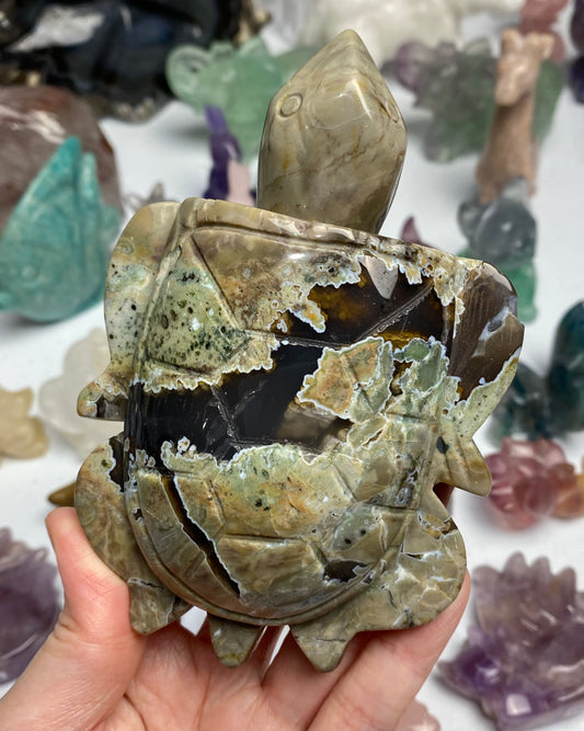 Volcano Agate Turtle