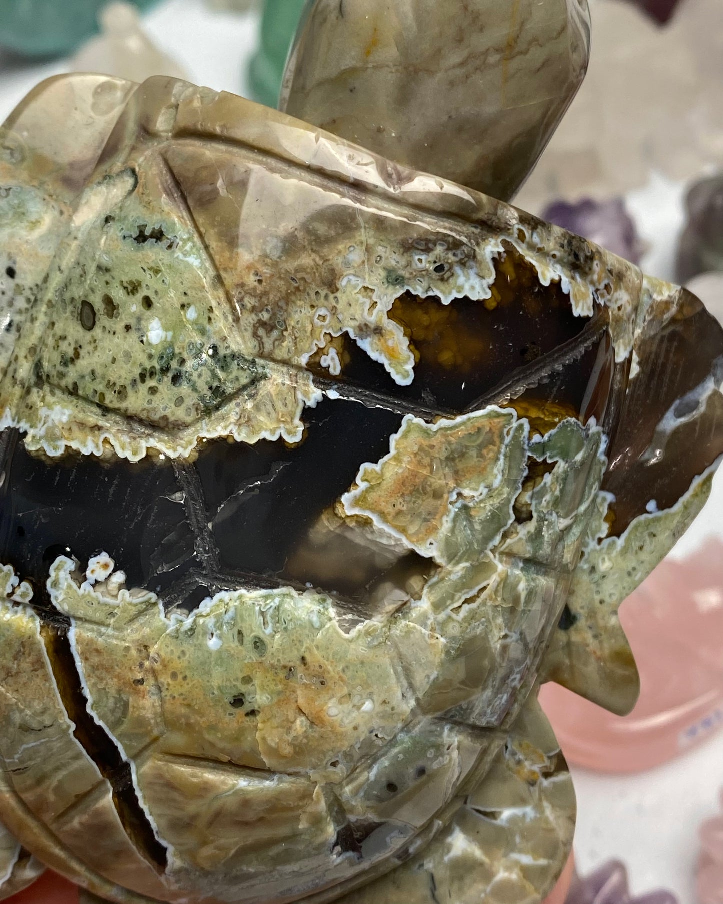 Volcano Agate Turtle