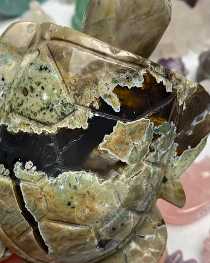 Volcano Agate Turtle