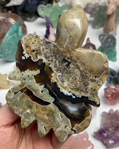 Volcano Agate Turtle