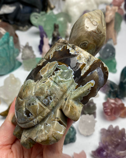 Volcano Agate Turtle