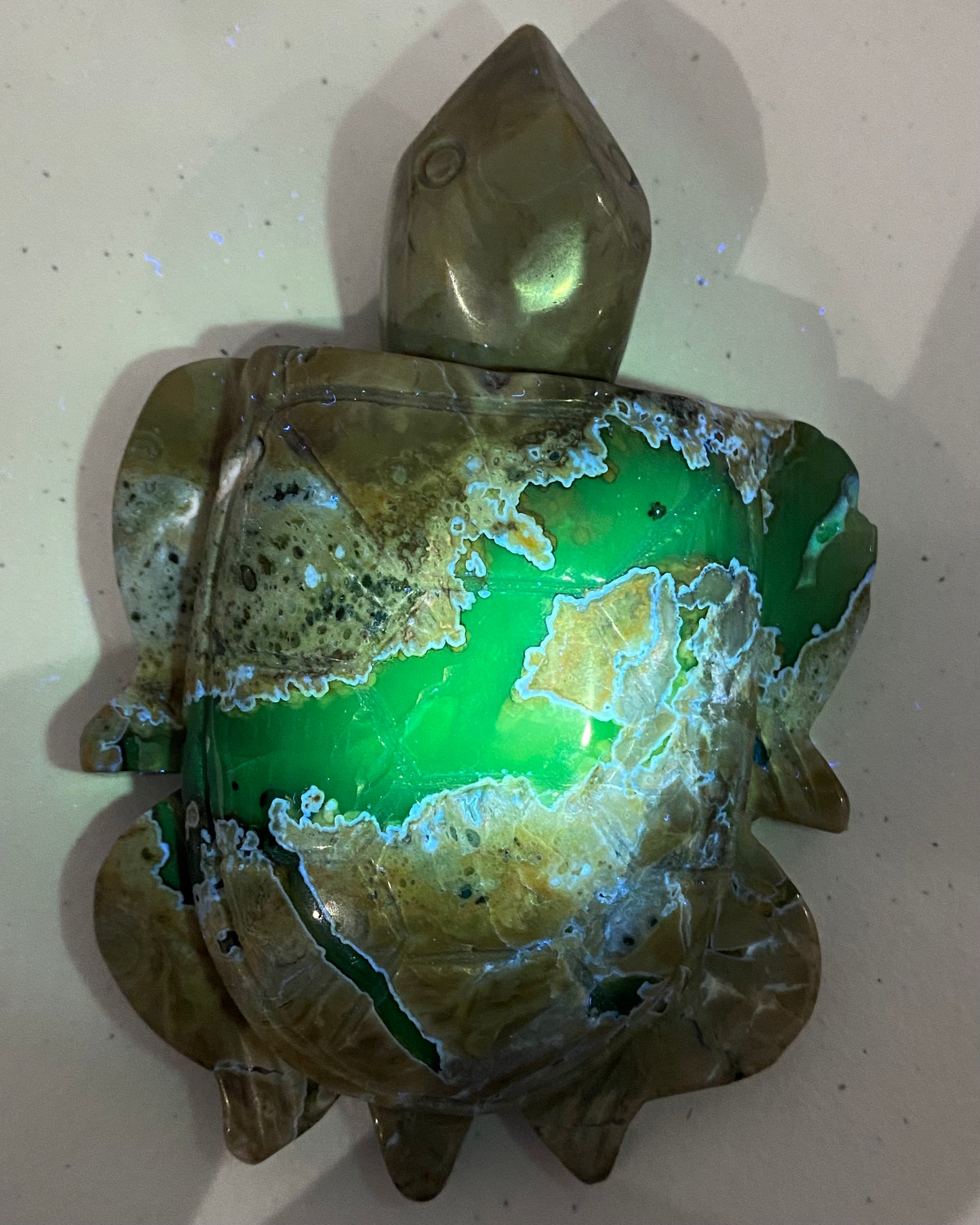 Volcano Agate Turtle