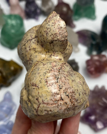 Picture Jasper Koala Bear