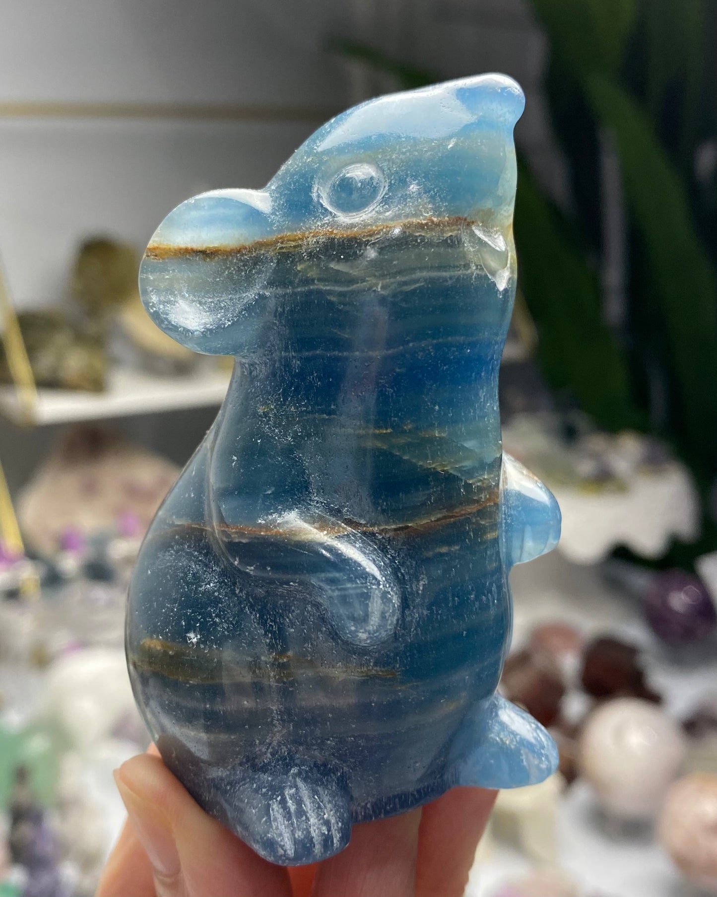 Blue Banded Calcite Mouse