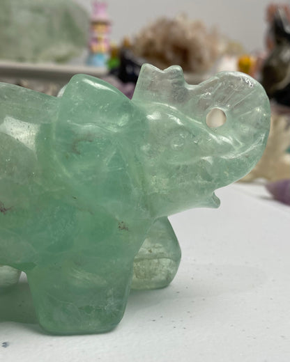 Fluorite Elephant