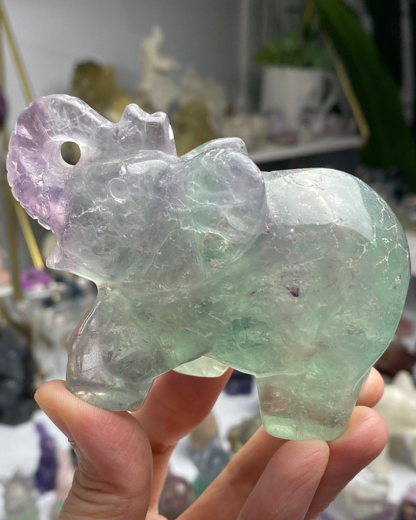 Fluorite Elephant