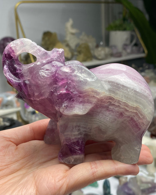 Watermelon Fluorite Elephant