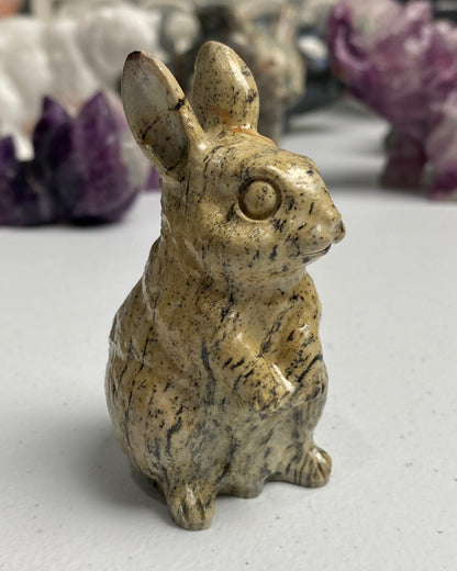 Picture Jasper Rabbit