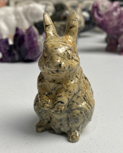 Picture Jasper Rabbit