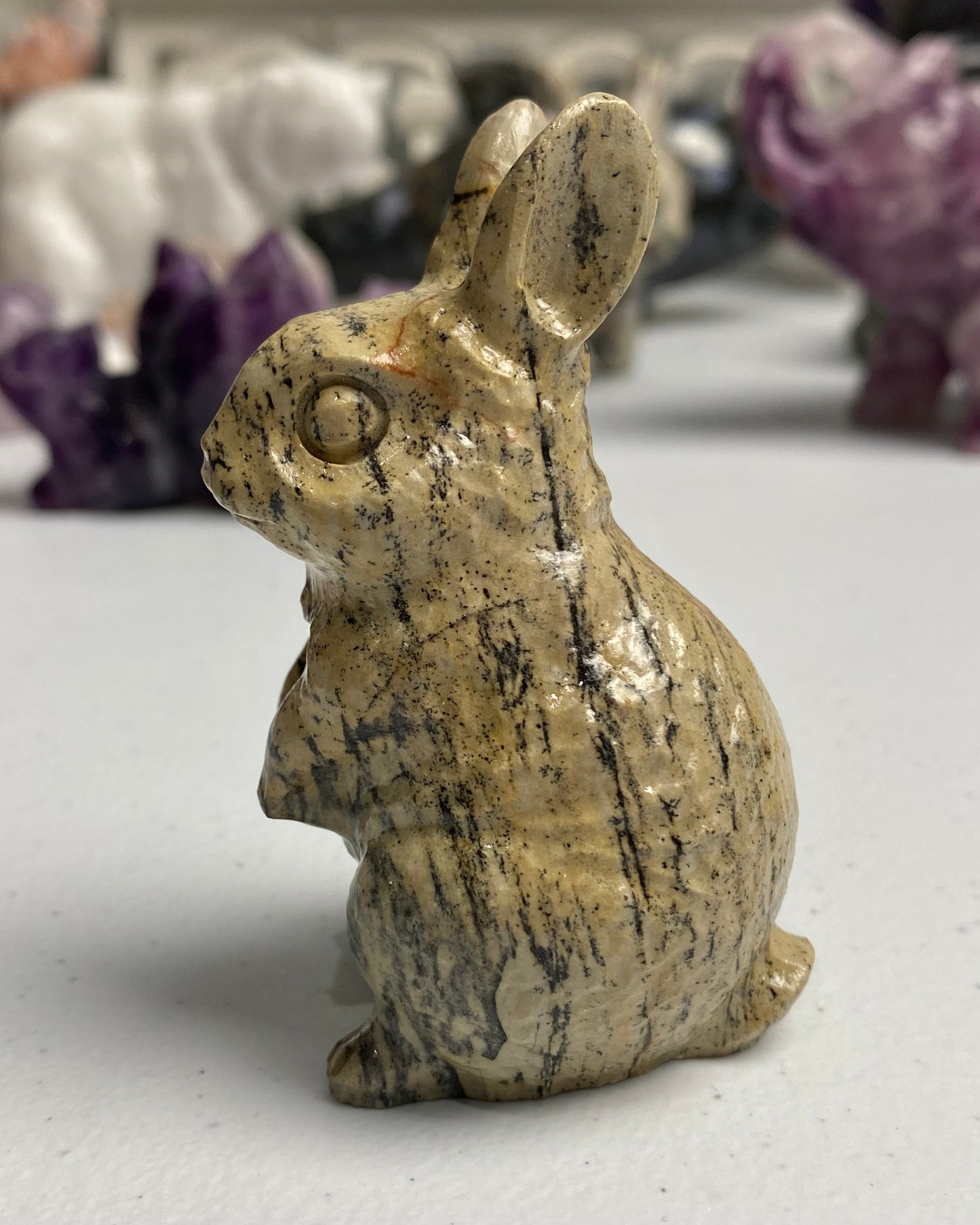 Picture Jasper Rabbit