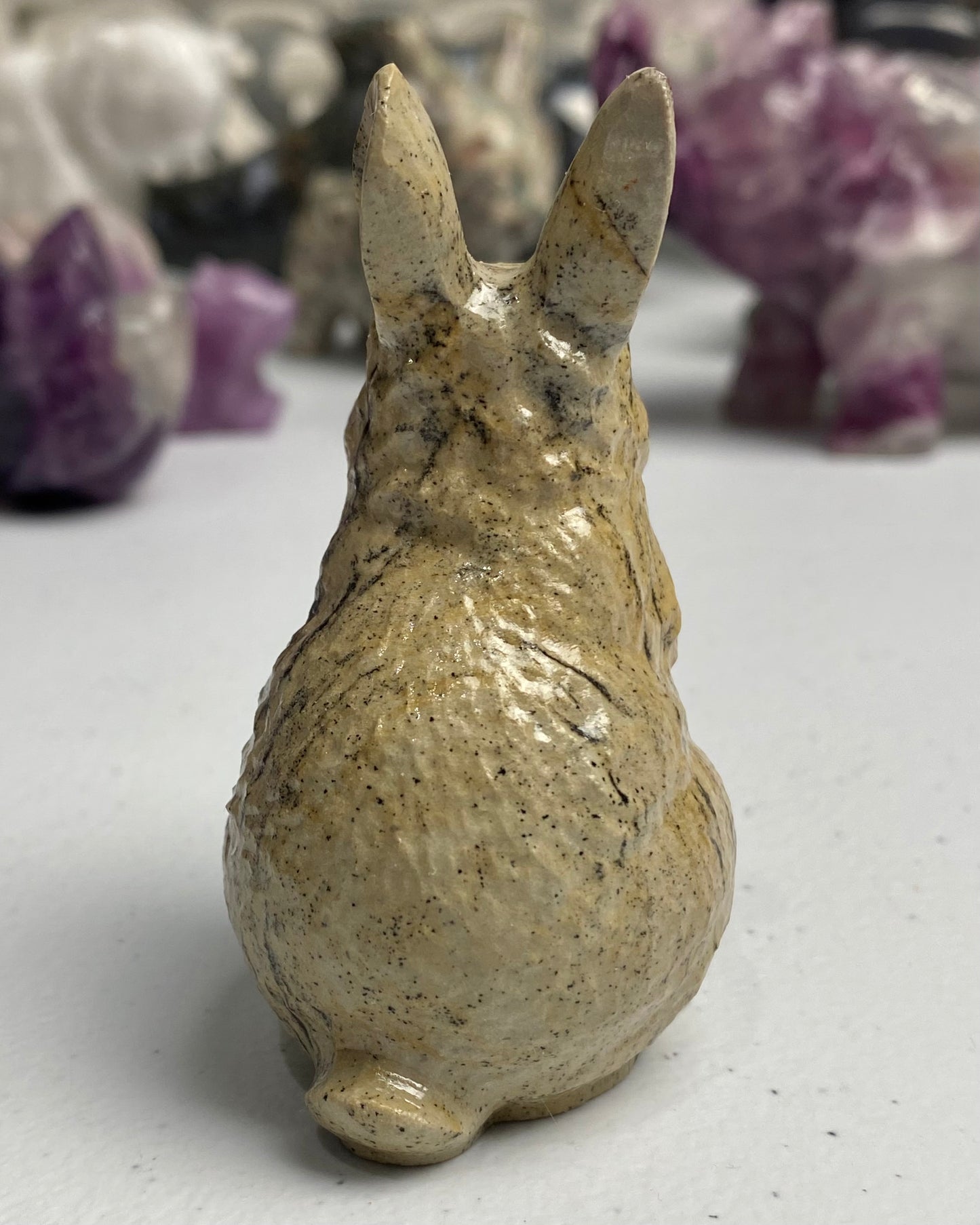 Picture Jasper Rabbit