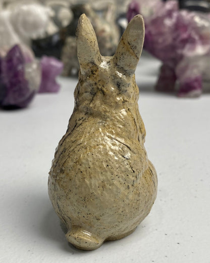 Picture Jasper Rabbit
