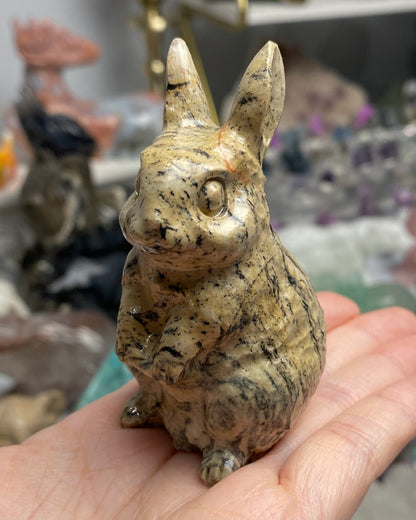 Picture Jasper Rabbit