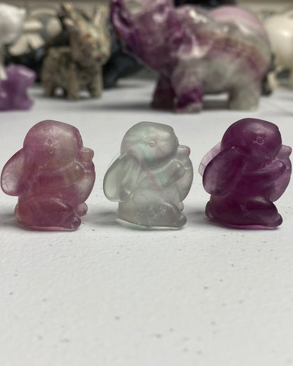 Candy Fluorite Mini Bunny