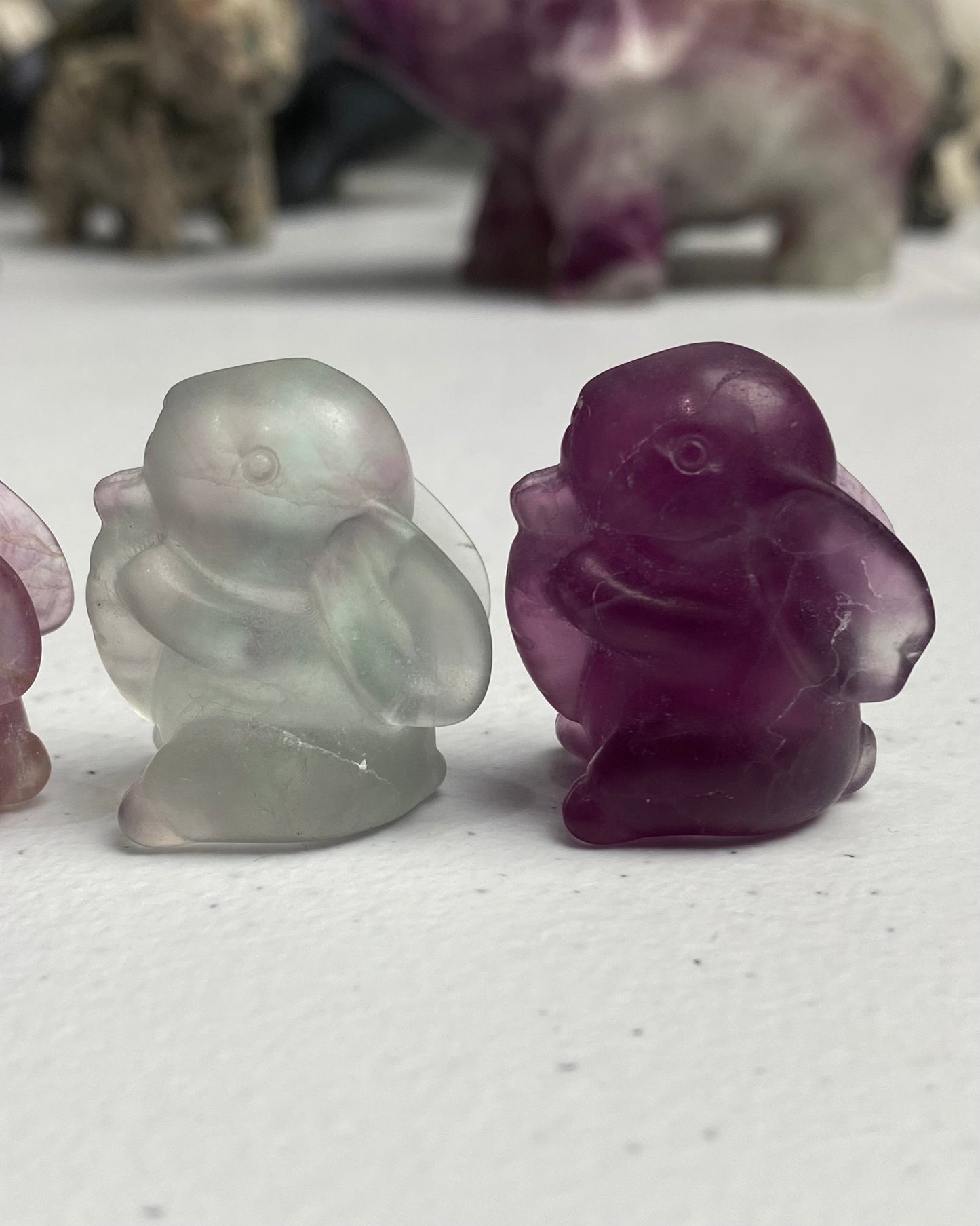 Candy Fluorite Mini Bunny