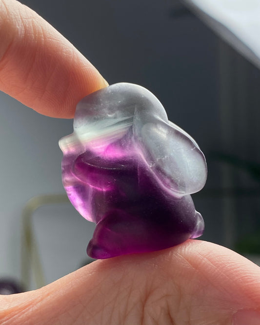 Candy Fluorite Mini Bunny