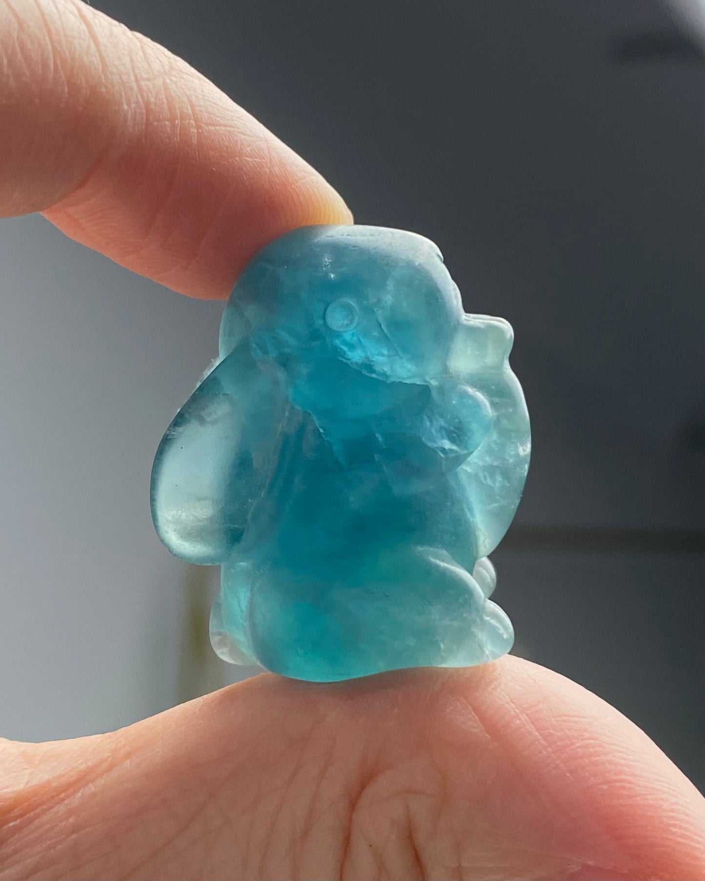 Candy Fluorite Mini Bunny