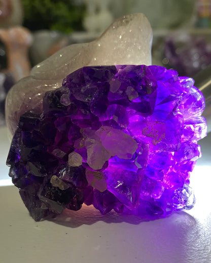 Amethyst Agate with Calcite Rabbit (on hold)