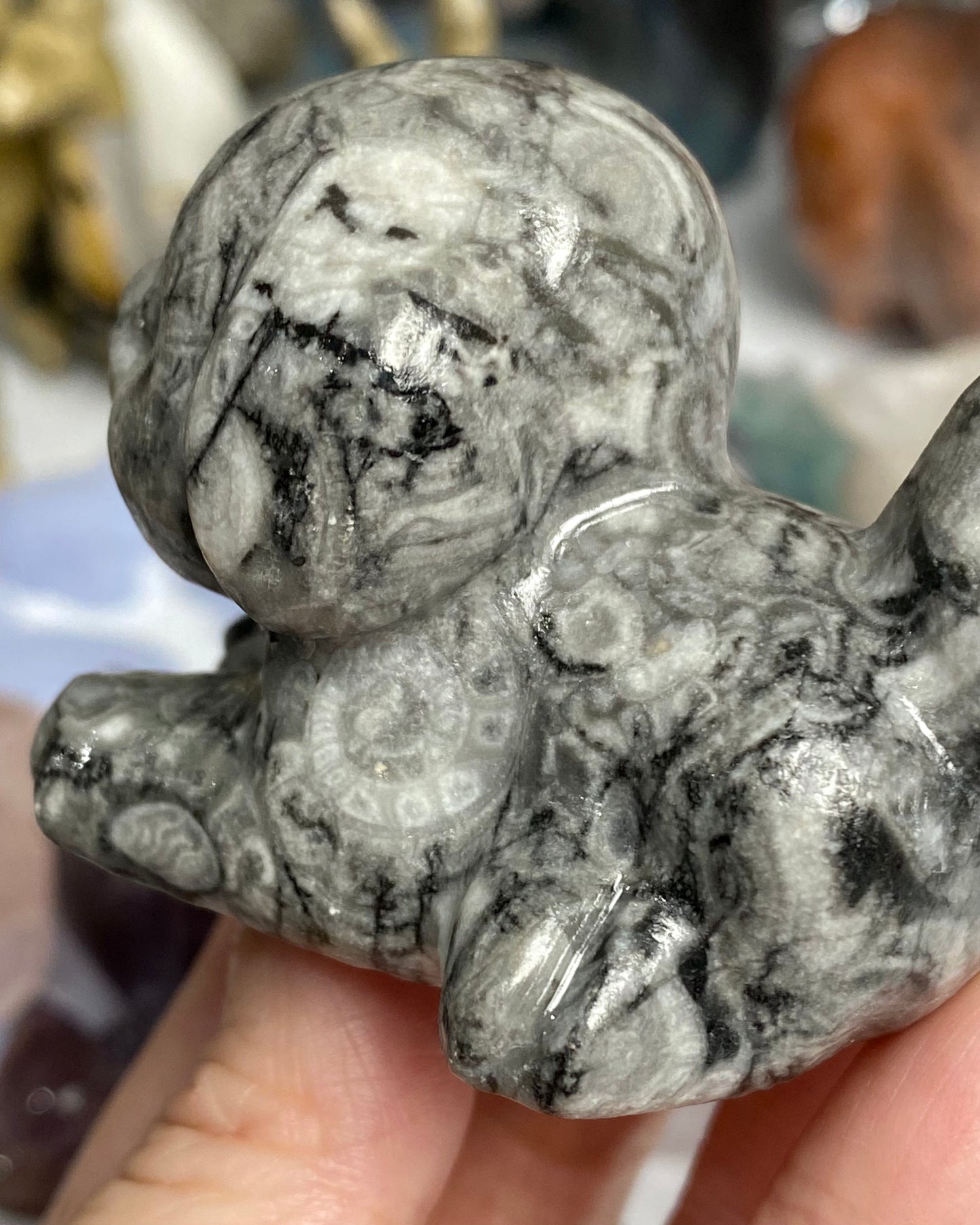 Fossil Jasper Dog